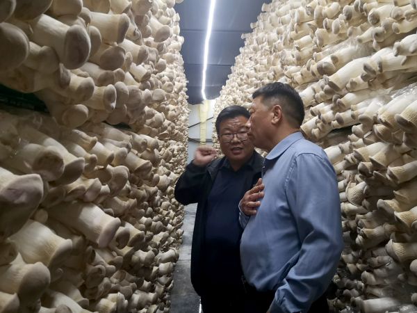 微信图片_20250422163521