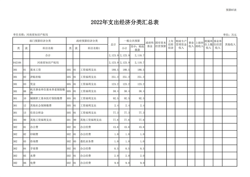 河南省知识产权局2022年度单位预算公开_19