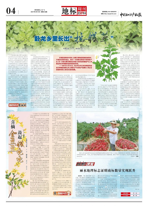 中国知识产权报刊登“南阳艾”地理标志专访