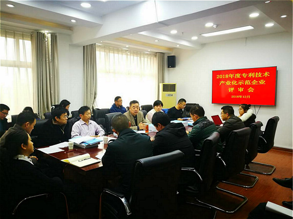 濮阳市组织评审专利技术产业化示范企业