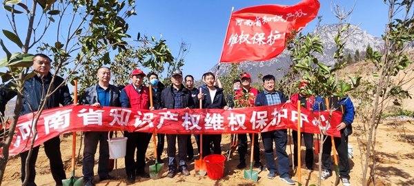 河南省知识产权维权保护中心开展春季义务植树活动